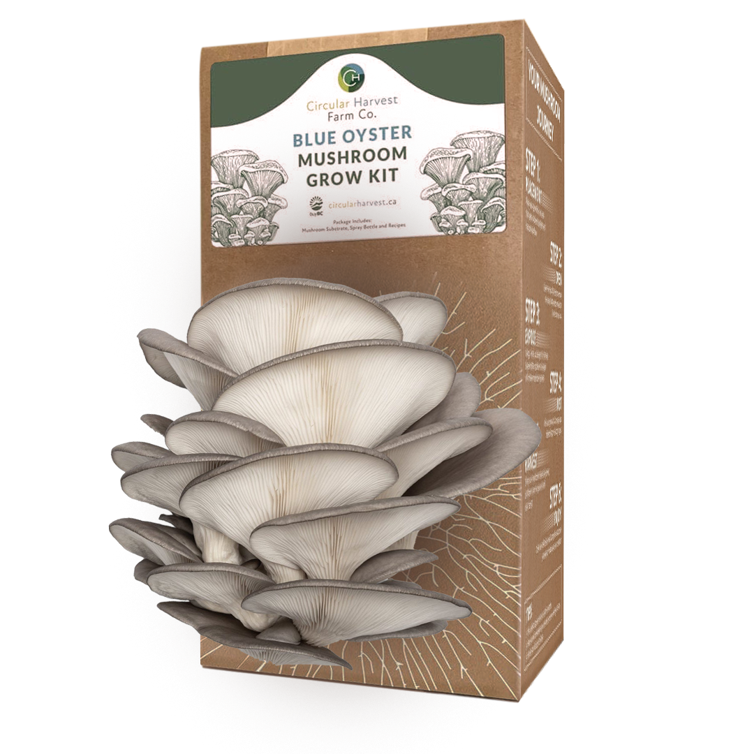 Blue Oyster Mushroom Grow Kit