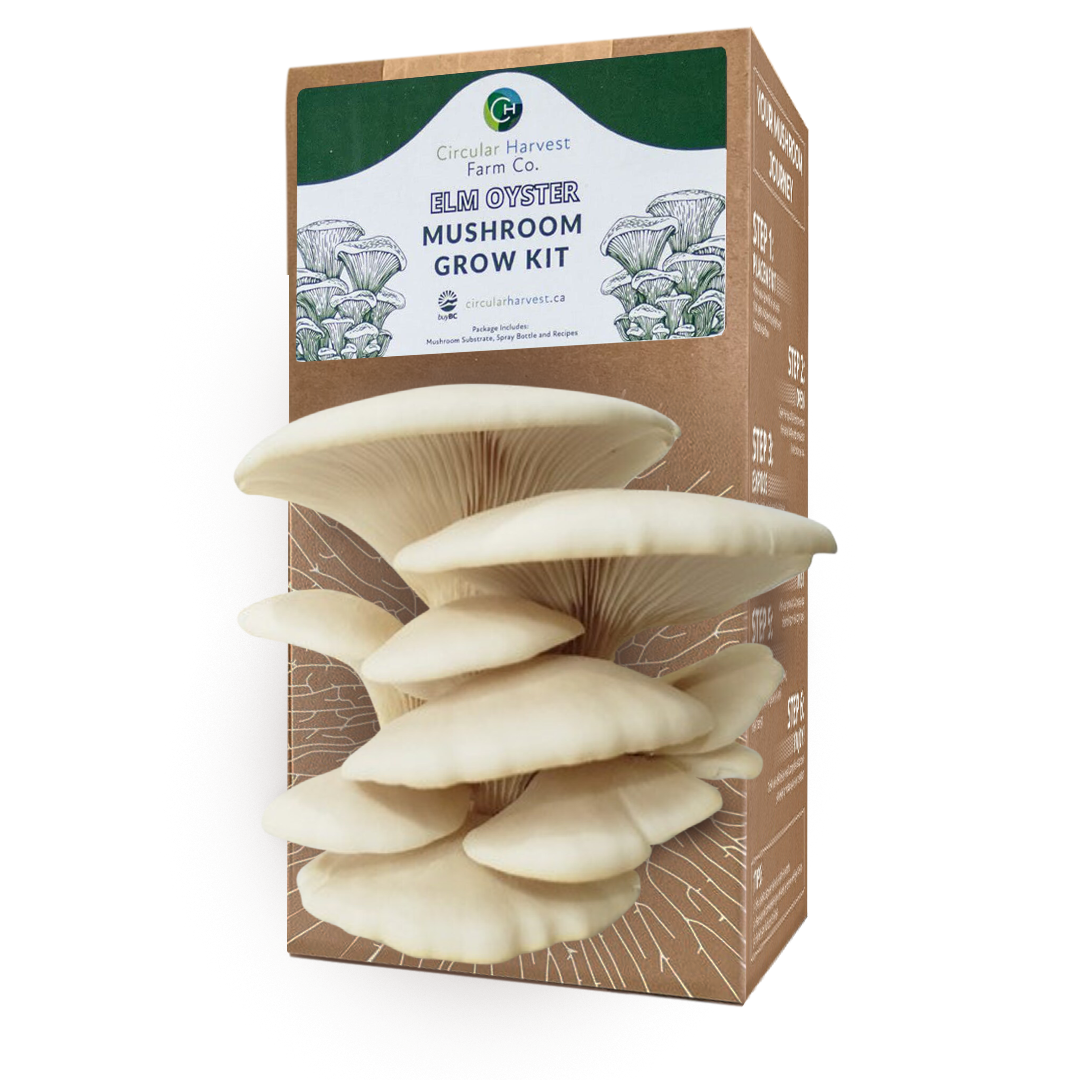 Elm Oyster Mushroom Grow Kit