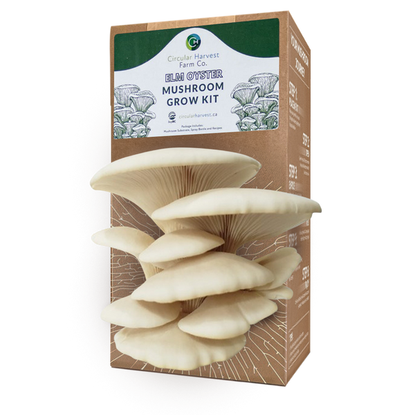 Elm Oyster Mushroom Grow Kit ReFeed Canada