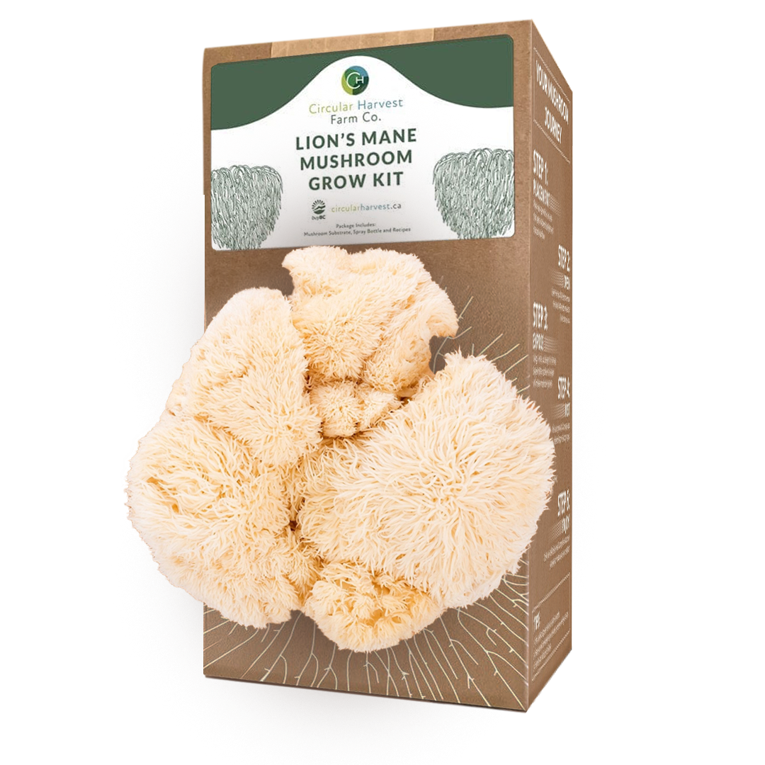 Lion's Mane Mushroom Grow Kit