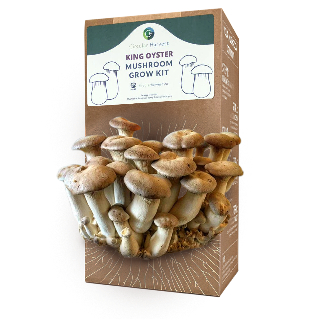 King Oyster Mushroom Grow Kit