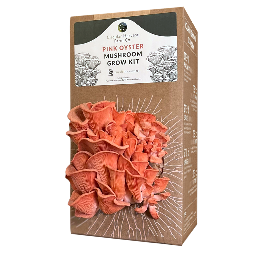 Pink Oyster Mushroom Grow Kit